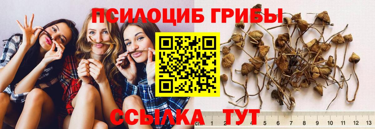 Конаково  Галлюциногенные грибы MAGIC MUSHROOMS  Вход с VPN  Галлюциногенные грибы Psilocybe 